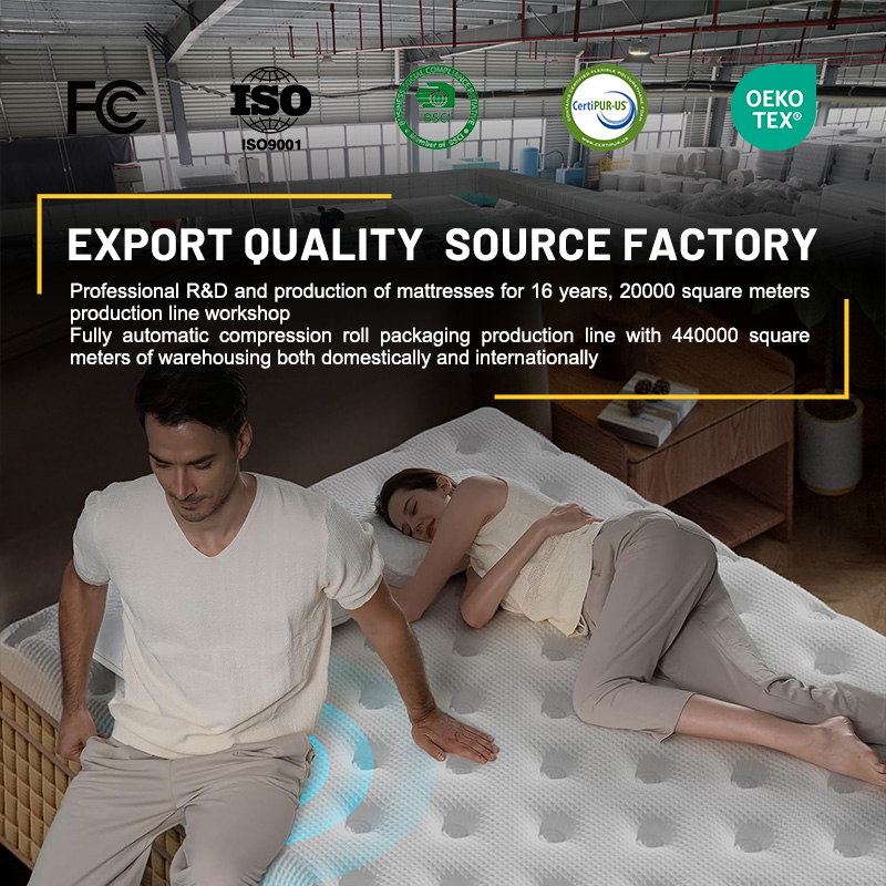 홈메이트 14인치 박스형 퀸 킹 사이즈 압축 메모리폼  - Memory Foam Mattress In A Box Queen 리뷰 및 가격